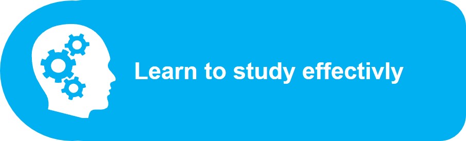 Learn to study effectivly